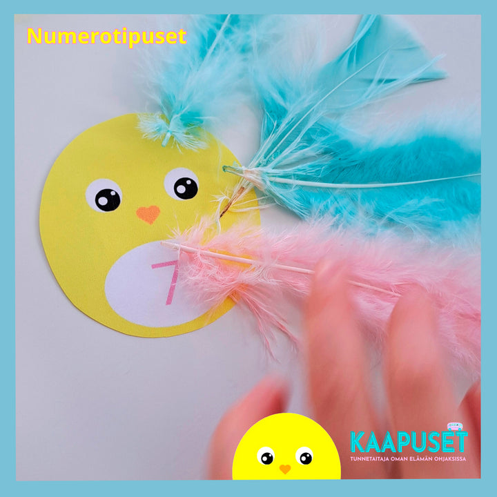 HALIPUPU JA TIPUSET - MATIKKAA, KÄDENTAITOJA JA VÄREJÄ