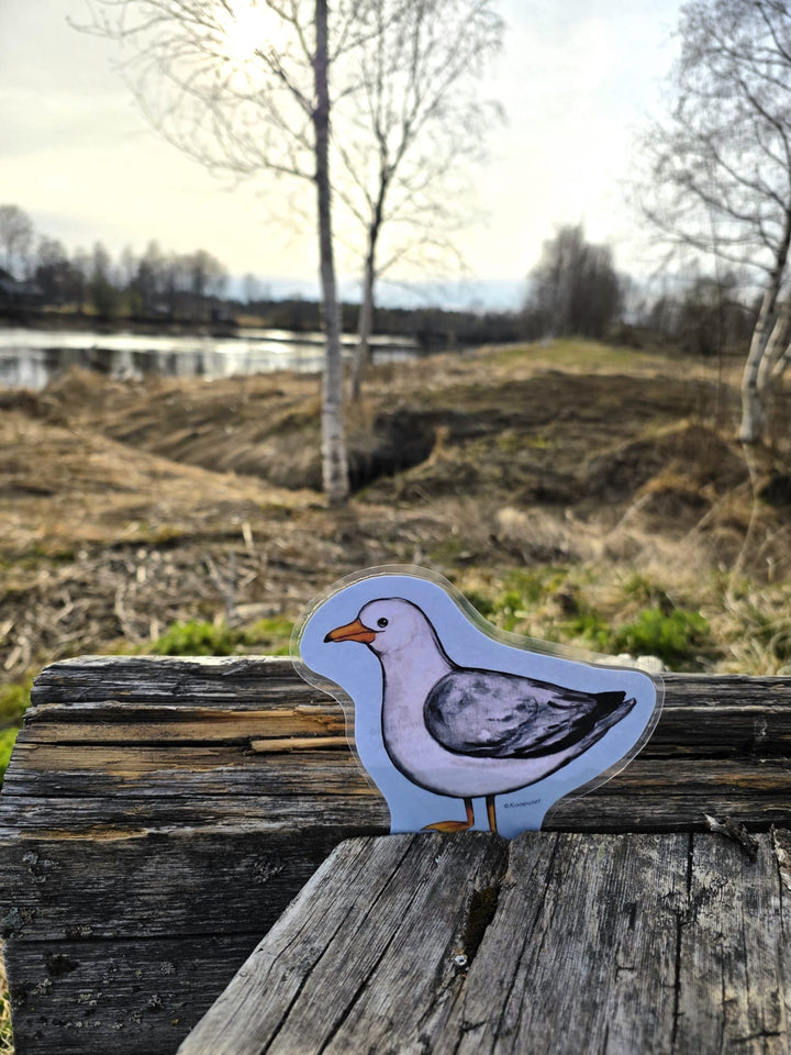LINTULORUT PAKETTINA - JUMPPAAN JA LORUTTELUUN
