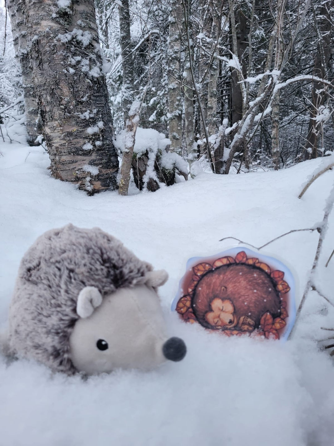 ELÄINTEN TALVILORUT