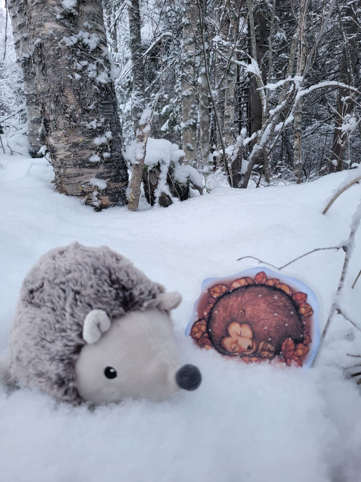 ELÄINTEN TALVILORUT