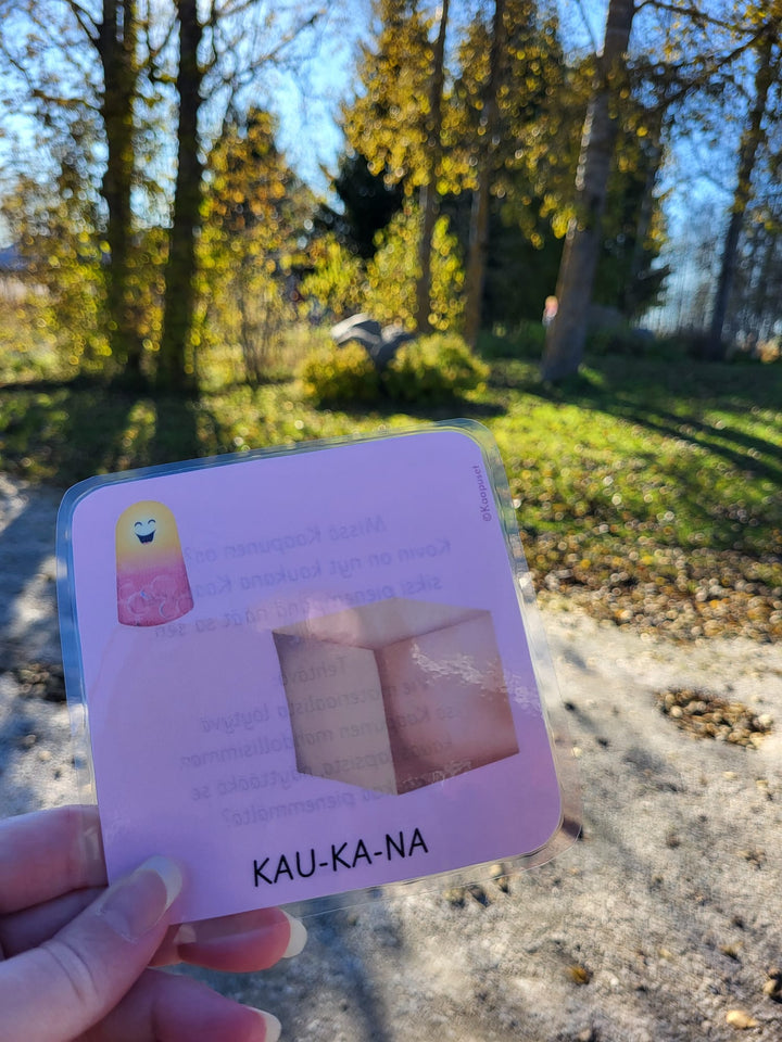 MISSÄ KAAPUNEN ON? - SIJAINTIKÄSITTEET KUVIN JA LORUTELLEN
