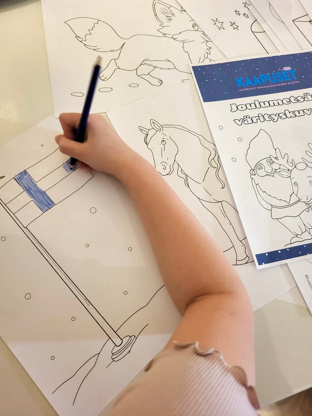 JOULUMETSÄN VÄRITYSKUVAT