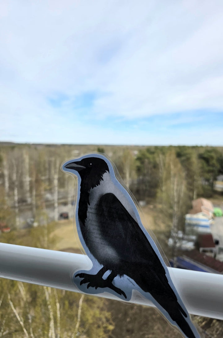 LINTULORUT PAKETTINA - JUMPPAAN JA LORUTTELUUN