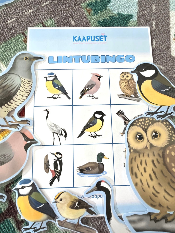 LINTULORUT OSA II - JUMPPAAN JA LORUTTELUUN