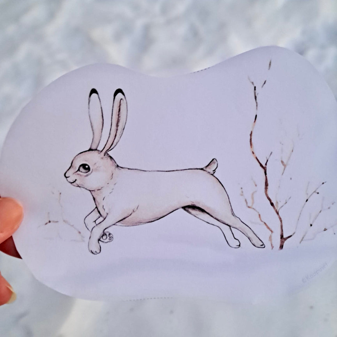 ELÄINTEN TALVILORUT