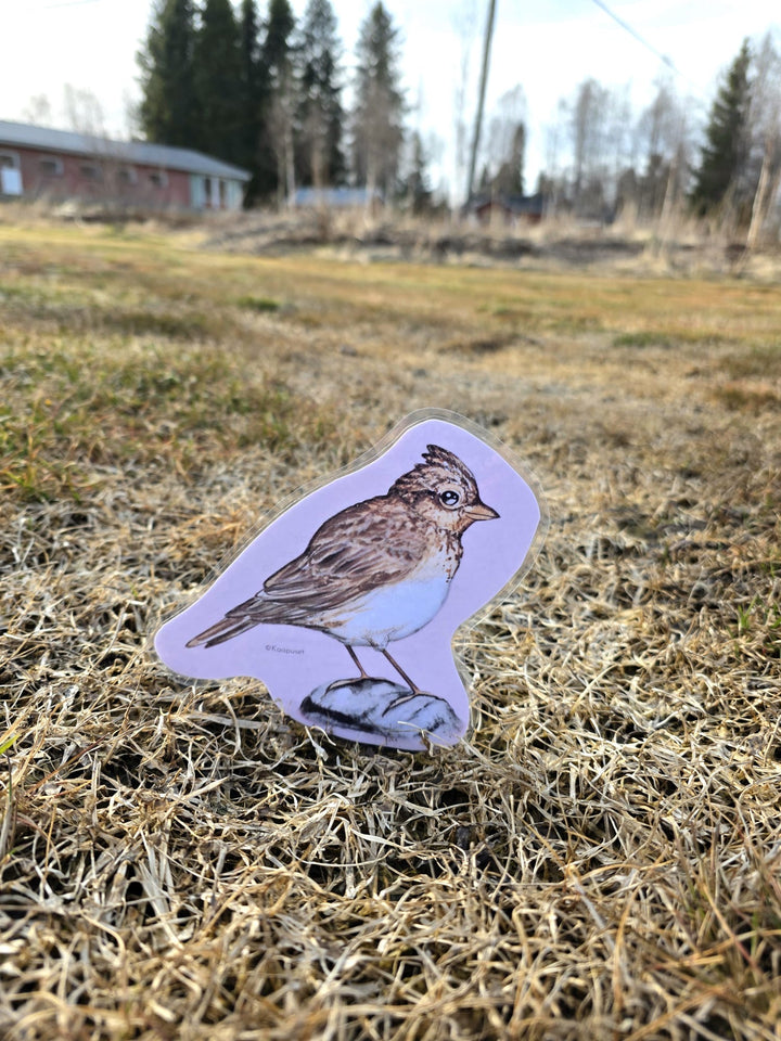 LINTULORUT PAKETTINA - JUMPPAAN JA LORUTTELUUN