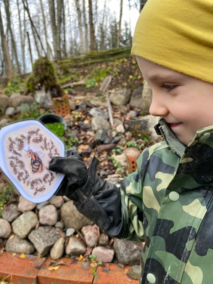 ELÄINTEN TALVILORUT