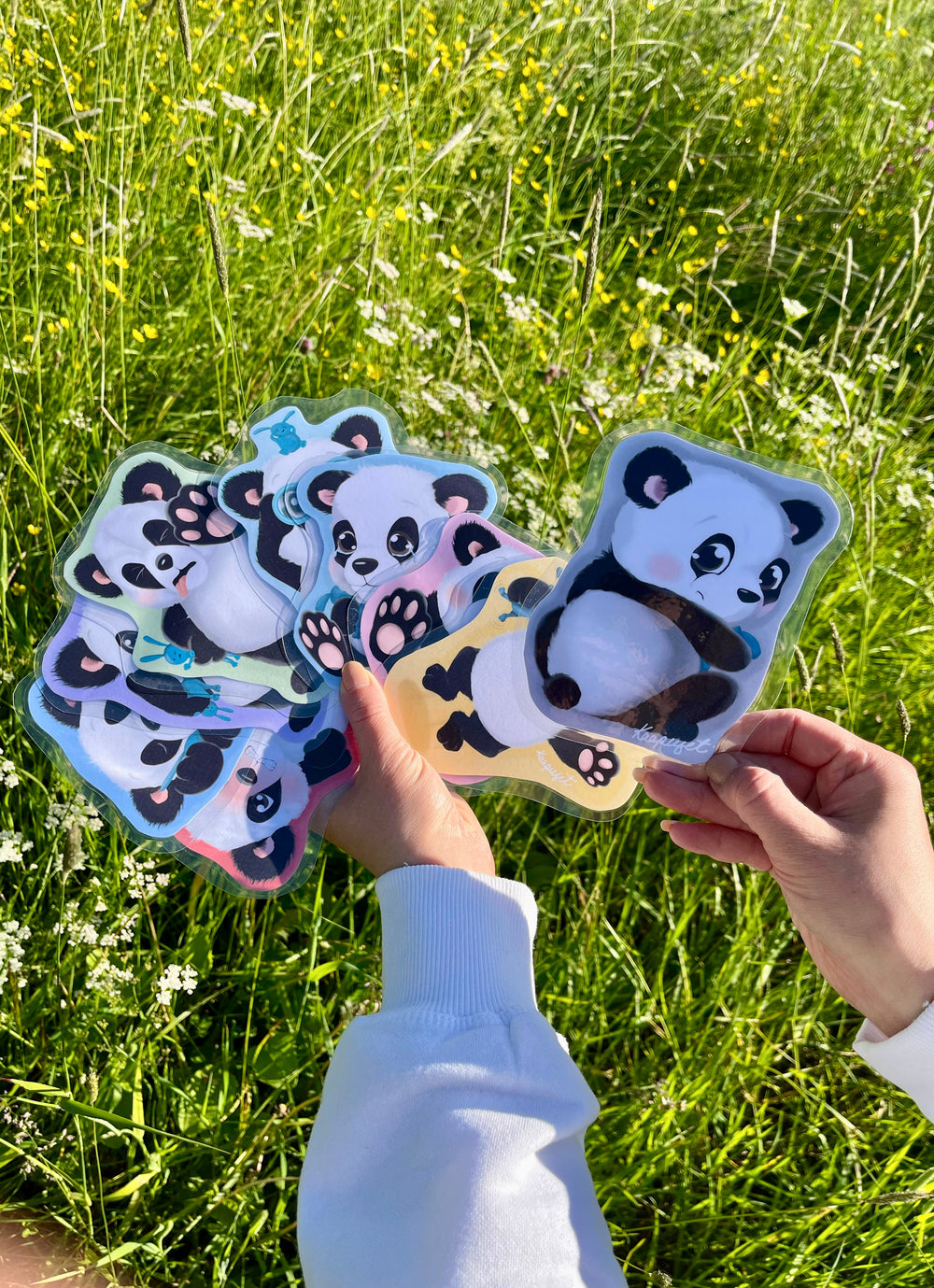 MILTÄ TUNTUU PIKKUPANDA? - LORUJA, JUMPPAA JA TUNNEKUVAT