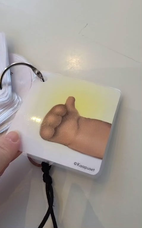 NALLETOIMINNANOHJAUSKORTIT